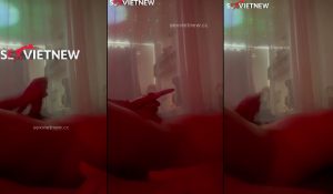 Sex Việt Nam