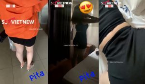 Checker Pita Vụng Trộm