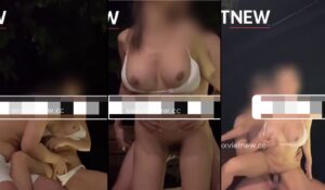 Sex Việt