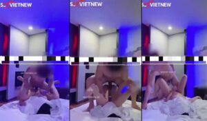 Máy dập chạy bằng cơm